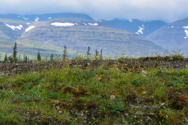 Berg Putorana Platån Sommarlandskap Norra Sibirien — Stockfoto