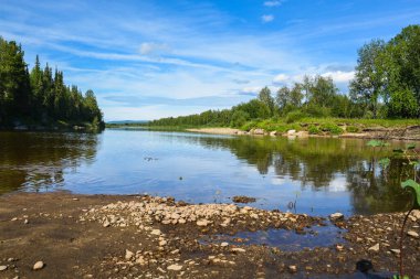 Orman ve nehir. Kuzey Taiga nehrinin yaz manzarası.