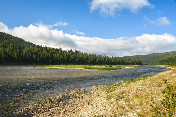 Bosque Río Paisaje Verano Del Río Táiga Norte — Foto de Stock