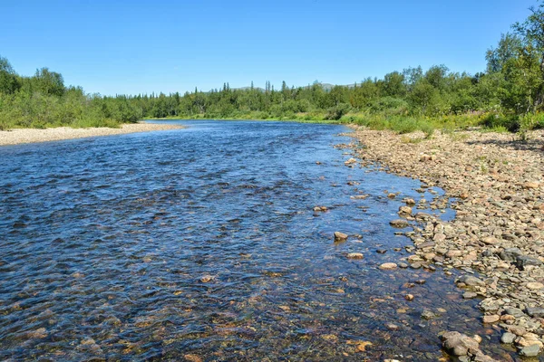 Floresta Rio Paisagem Verão Rio Taiga Norte — Fotografia de Stock