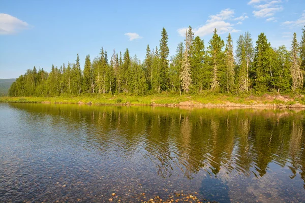 Forest River Summer Landscape Northern Taiga River — Stock Photo, Image