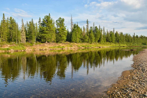 Orman ve nehir. Kuzey Taiga nehrinin yaz manzarası.