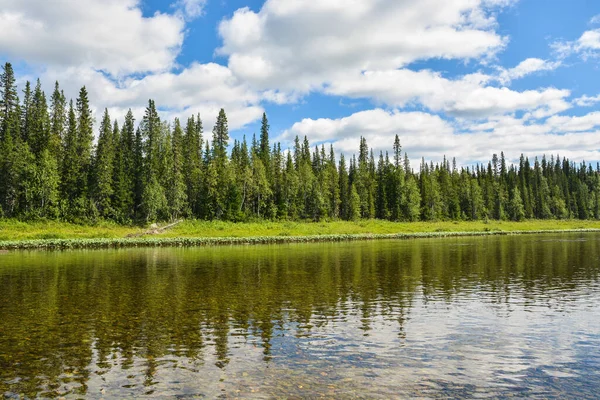 Orman ve nehir. Kuzey Taiga nehrinin yaz manzarası.