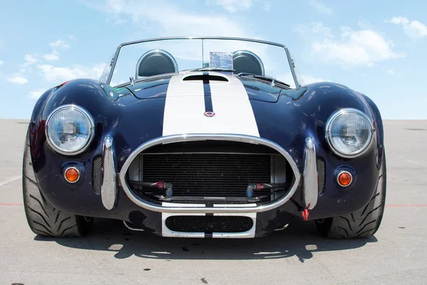 Front View Cobra — Stock Photo, Image