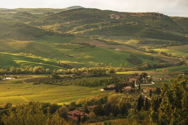 Toskana 'da altın güneş altındaki kırsal İtalyan tarım arazilerinin manzarası. Günbatımında ortaçağ kasabası Montepulciano 'nun tepesinden manzara.