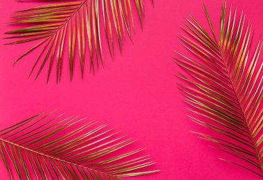Altın boyalı tropikal palmiye ağaçlarının yaratıcı düzeni moda pembe arka planda sınır çerçevesi oluşturur. Boş alan, mesaj için yer, kopya, harf. Parlak güzellik, moda konsepti.
