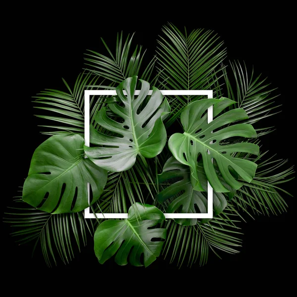 Creative Arrangement Tropical Monstera Palm Leaves Square Paper Card Note — Stockfoto