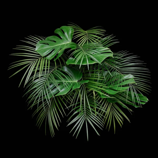 Fashionable monstera and tropical palm leaves layout precisely isolated on black background. Side arrangement night bouquet view.