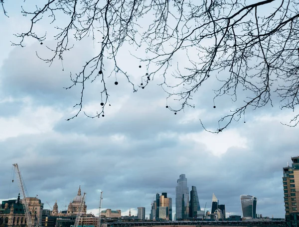 View of London city skyline on dark cloudy overcast winter day. Empty space, room for text. Leafless tree branches in foreground. Wide angle shot.