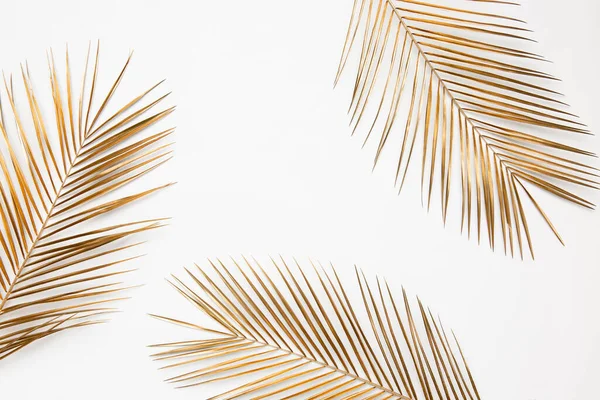 Feuilles Palmier Tropicales Dorées Brillantes Bordure Rapprochée Isolées Sur Fond — Photo