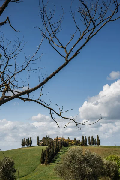 Classica Vista Panoramica Verticale Sulla Campagna Con Vecchia Villa Cipressi — Foto Stock