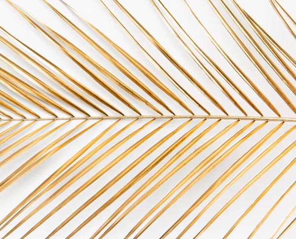 Closeup of golden painted tropical palm leaf on clean white background isolated. Luxury wedding concept pattern texture.