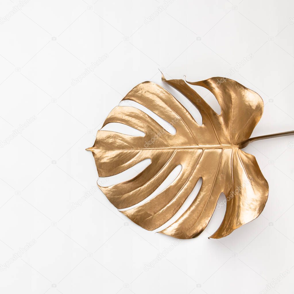 Closeup of single shiny golden painted big monstera leaf on flat white background isolated. Luxury tropical wedding invitation card template. Copy space, room for text, lettering.