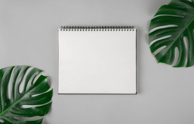 Büyük boş bir defter ve doğal tropik yeşil canavar yaprakları. Metin için yer.