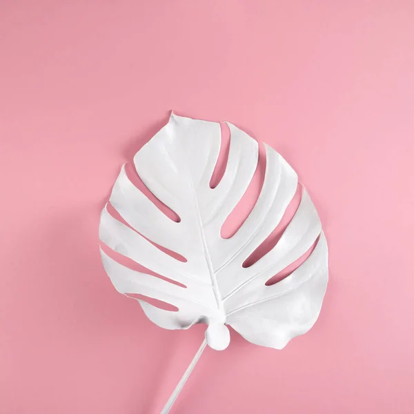 Foglia Monstera Junglae Dipinta Bianco Sfondo Minimale Astratto Rosa Bellezza — Foto Stock