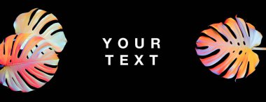 Çok renkli neon ışıklarla aydınlatılmış gerçek canavar yaprakları. Minimum holografik tropikal yaz konsepti. Soyut siyah arkaplan izole edildi. Boşluğu kopyala.