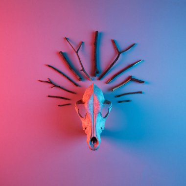 Animal skull decorated with branches tiara, lit with red and blue neon light. Trendy minimal occult flat lay concept. Abstract background. clipart