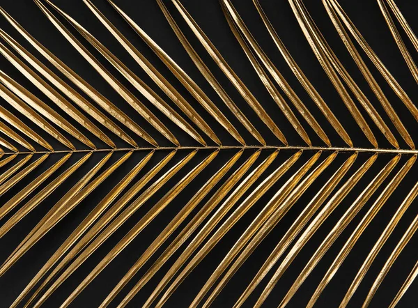 Golden Painted Date Palm Leaf Closeup Abstract Dark Black Background — Stock Photo, Image