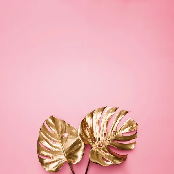 Conceito Floral Glamoroso Fábrica Queijo Suíço Tropical Pintada Ouro Deixa — Fotografia de Stock