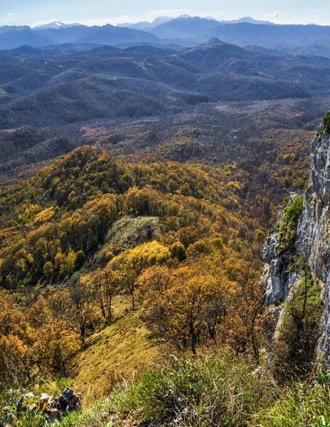 Tours e viagens para a Rússia .Sochi é um lugar favorito  . — Fotografia de Stock