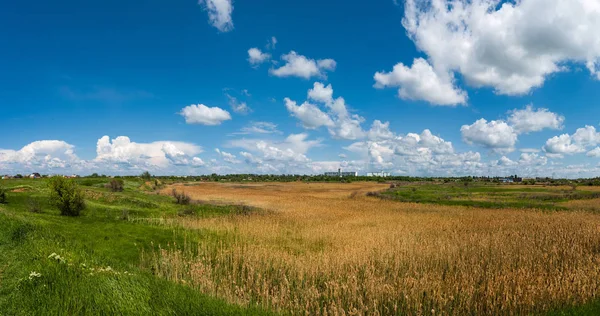 A végtelenség a orosz steppe Földanyával Stock Kép