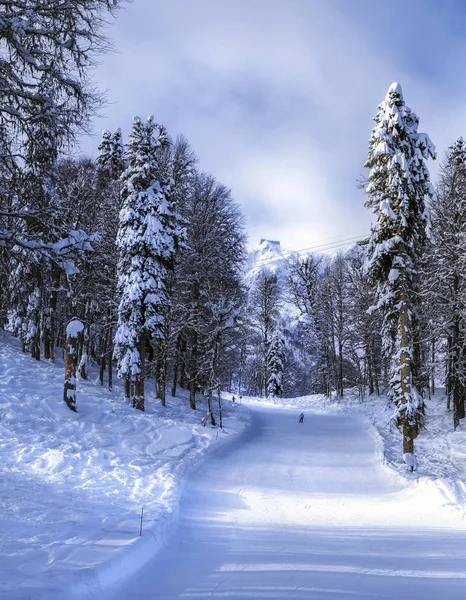 Ski resort Krasnaya Polyana SOCHI — Stock Photo, Image