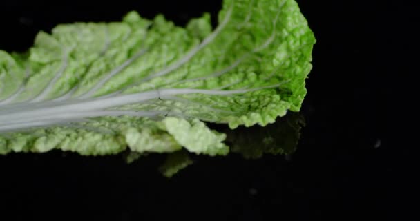 Leaves Chinese cabbage fall to the water. — Stock Footage Leaves Chinese cabbage fall to the water. Stock Video