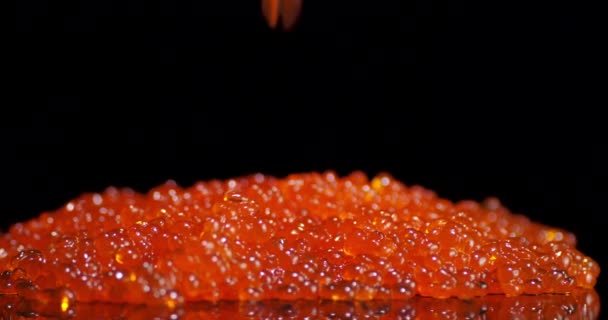 Grains of caviar falling on the table. — Stock Footage Grains of caviar falling on the table. Royalty Free Stock Video