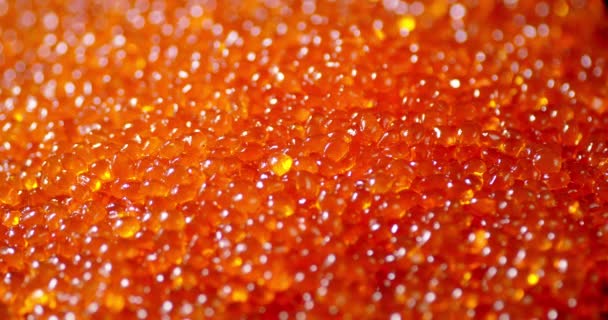 Delicious fresh red caviar. Macro background. — Stock Footage Delicious fresh red caviar. Macro background. Stock Footage