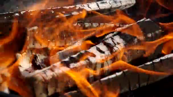 燃えている木の詳細 — ストック動画