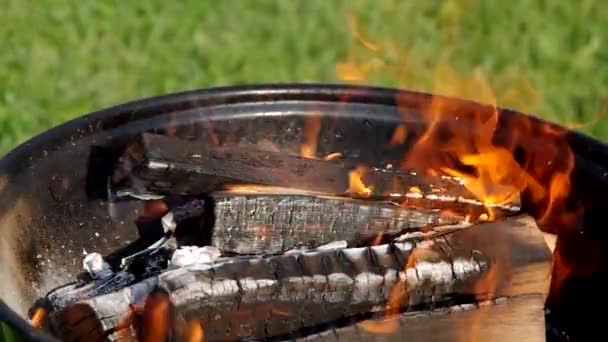 Detail spalování dřeva — Stock video