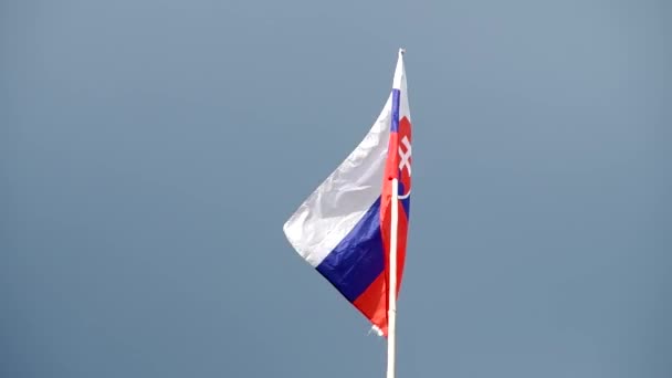 Slovak vlag in de wind — Stockvideo