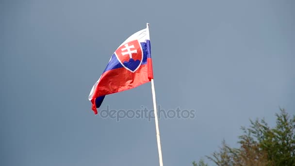 Bandera eslovaca en el viento — Vídeo de stock