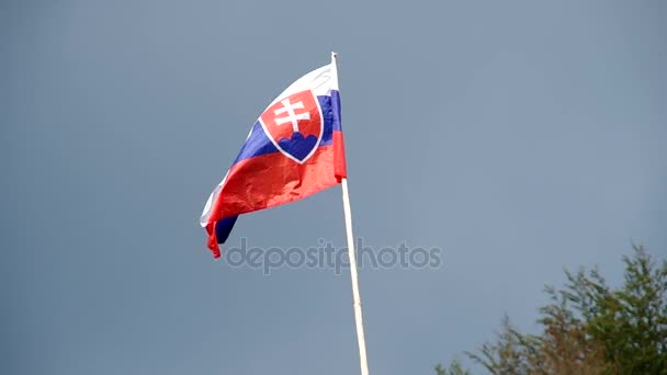 slovenská vlajka ve větru