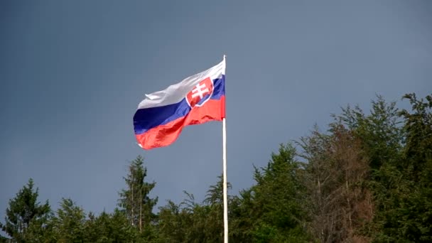 Bandera eslovaca en el viento — Vídeo de stock