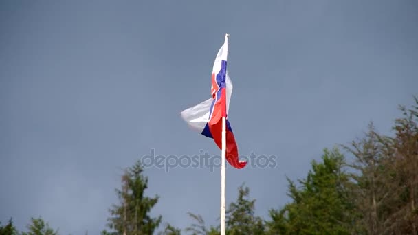 Szlovák zászló a szélben — Stock videók