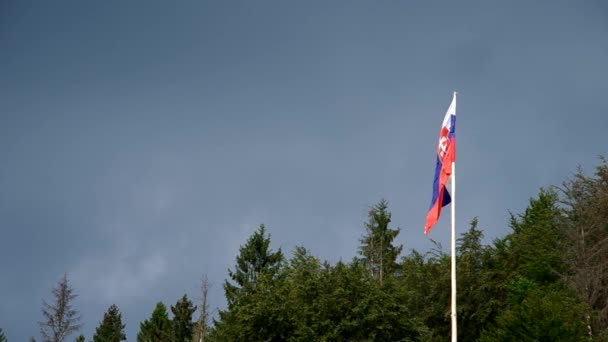 Szlovák zászló a szélben — Stock videók