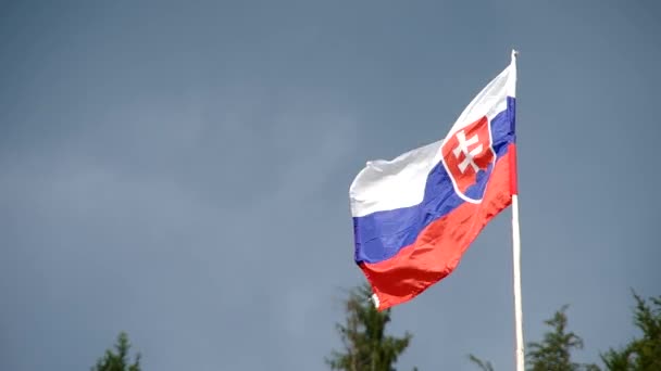 Bandera eslovaca en el viento — Vídeo de stock