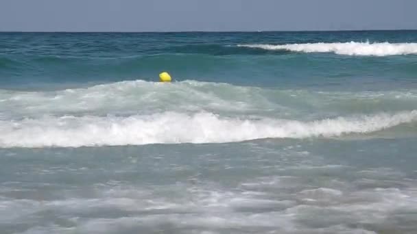 海で波 — ストック動画