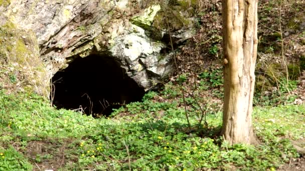 Пещера в скале — стоковое видео
