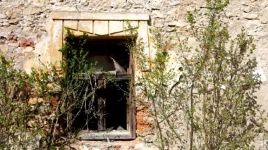 Window on old building
