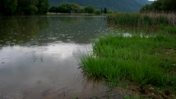 Дождь на озере — стоковое видео