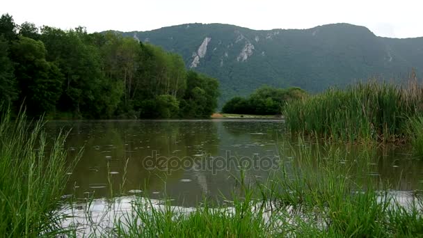 Βροχή στη λίμνη — Αρχείο Βίντεο