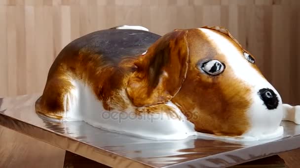 Cake in the shape of a dog — Stock Video