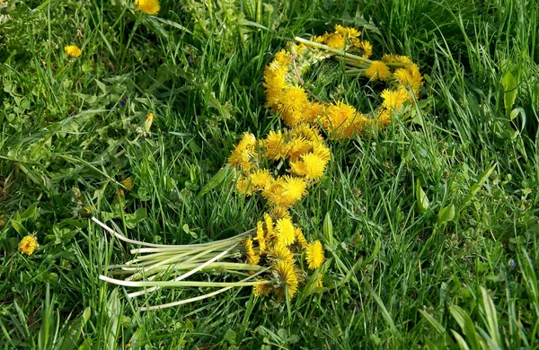 Wreath and bouquet of dandelions — Stock Photo, Image