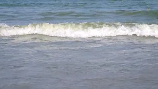 Grandes vagues marines 