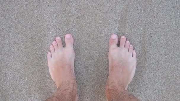 Pieds dans le sable en mer — Video