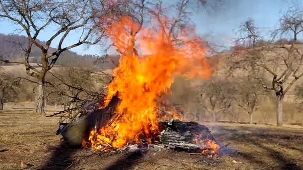 Fuoco ardente nel giardino — Video Stock