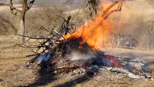 Fuego ardiente en el jardín — Vídeos de Stock