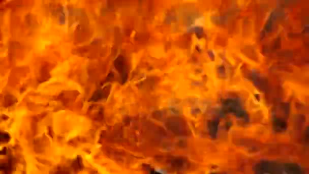 Płonący ogień w ogrodzie — Wideo stockowe